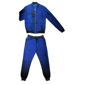 [Adidas] Adidas Performance Track Suit Set (2 pieces)